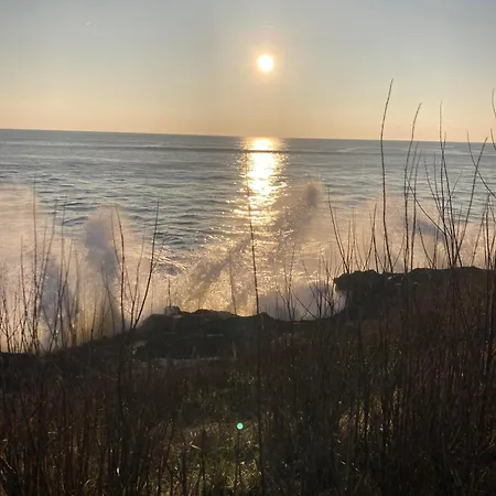 Les Oyats 2 Personnes 50m De La * Brétignolles-sur-Mer